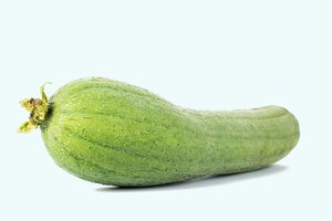 Der Luffaschwamm aus dem eigenen Garten